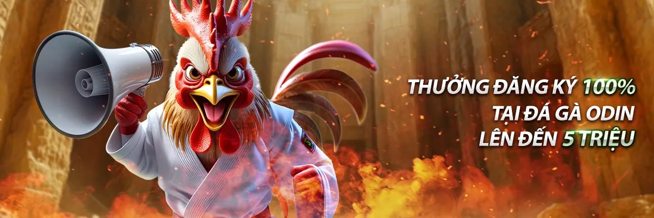 Hình ảnh minh họa các điều khoản và điều kiện pháp lý của b52 club